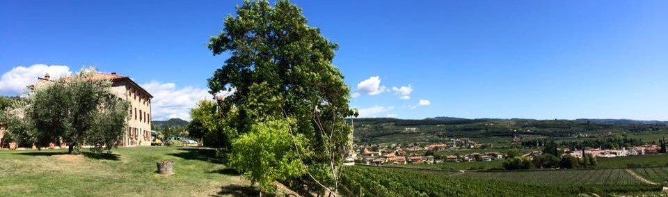 Vingård Valpolicella