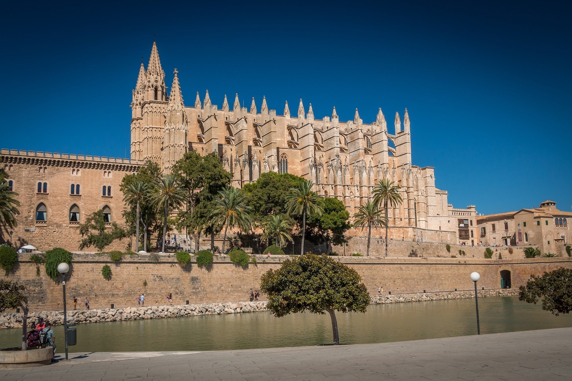 Palma