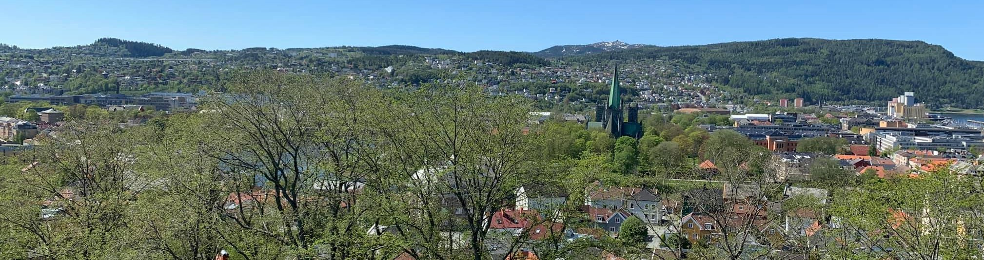 Utsikt over Trondheim